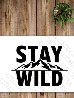 *2 for $20* Stay Wild Mountains vinyl decal Sticker Handcrafted